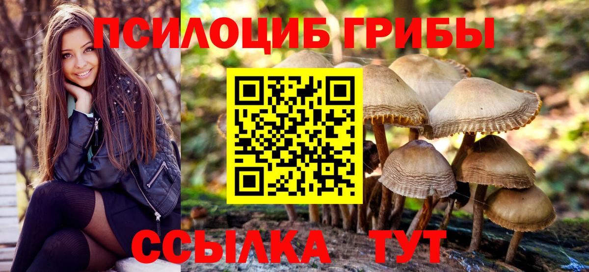 Псилоцибиновые грибы ЛСД  Вход с VPN  Кимры 