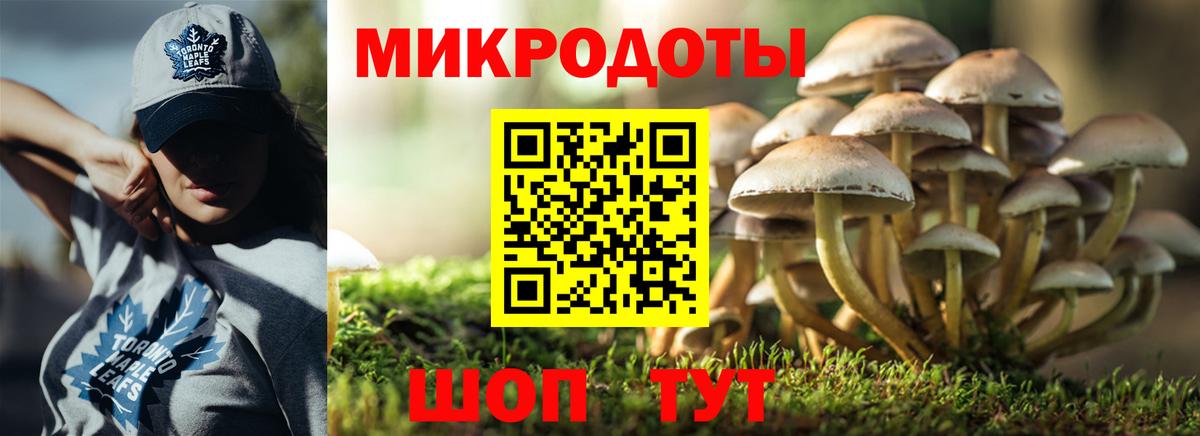 Псилоцибиновые грибы прущие грибы Кимры